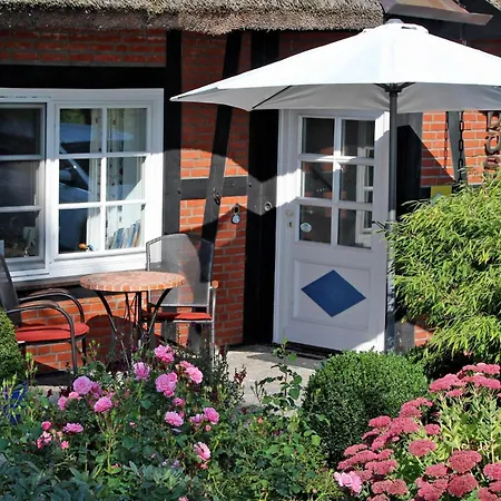 Unterm Reetdach M Terras O Balk U Sauna